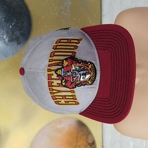 Harry Potter Gryffindor Snapback Hat
